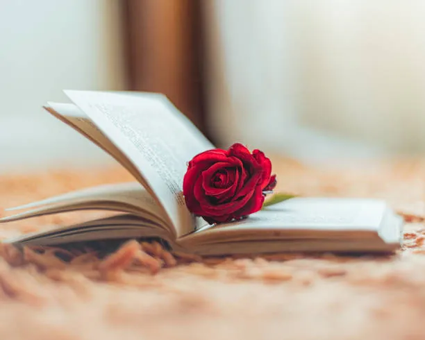 Top 10 Valentine's Day Around The World 95 Valentine's Day Around The World