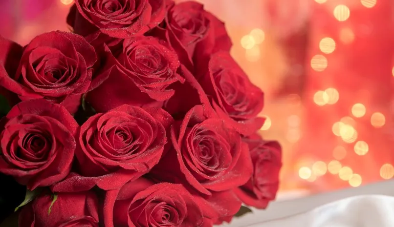 Why Do We Give Roses on Valentine's Day? |Valentine's Day 2024 Special 93 why do we give roses on Valentine's Day