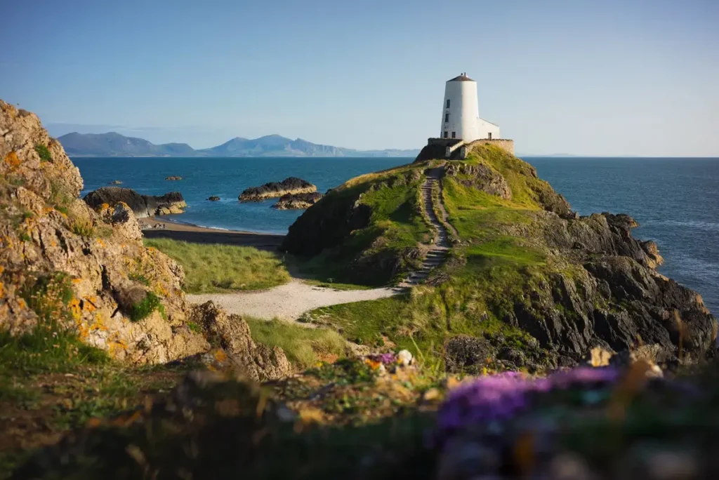 Wales Saint Dwynwen’s Day, January 25: Welsh Love Day 94 Saint Dwynwen’s Day
