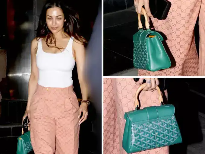 Malaika Arora's Pants, Purse and Heels Cost as Much as a Common Man's Annual Income 91 Malaika Arora purse cost