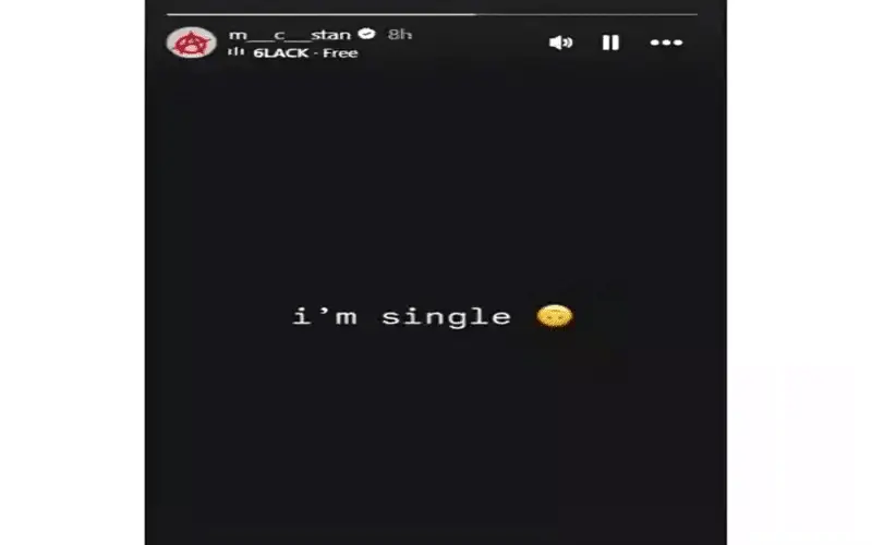 MC Stan broke up? The rapper posted on social media and wrote - 'I am single' 74 Mc Stan Story