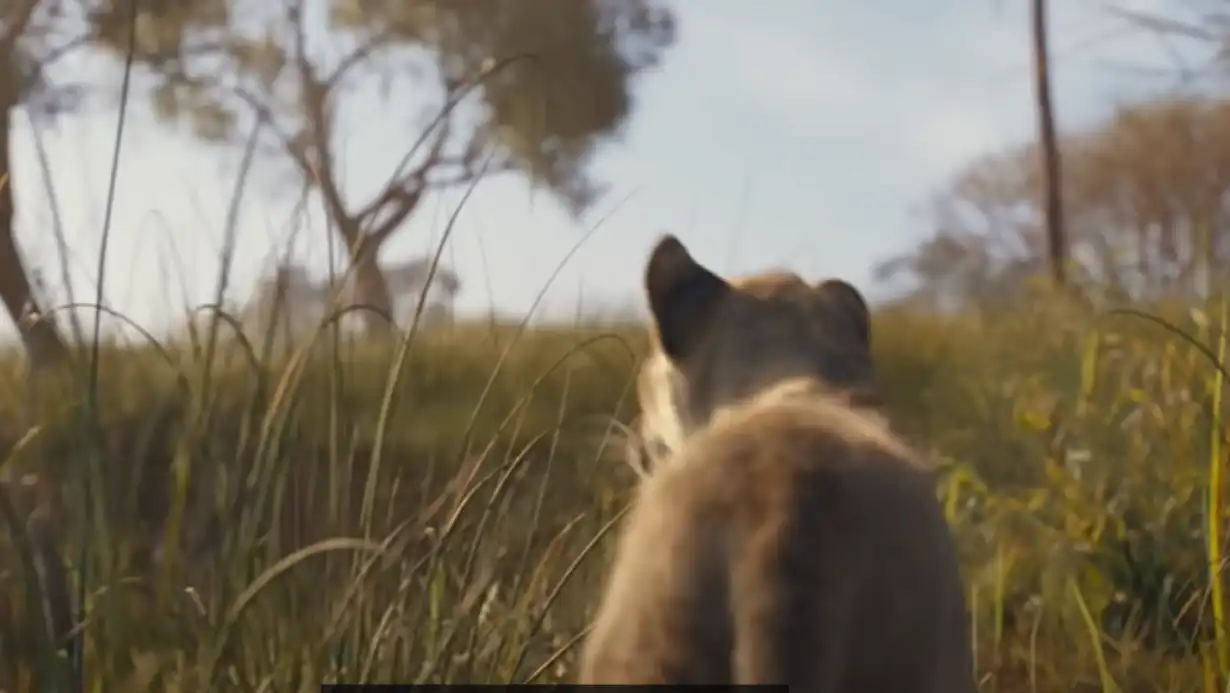 "Mufasa" Trailer Out: Shah Rukh Khan and His Sons’ First Film Trailer Released 85 Mufasa Trailer Out