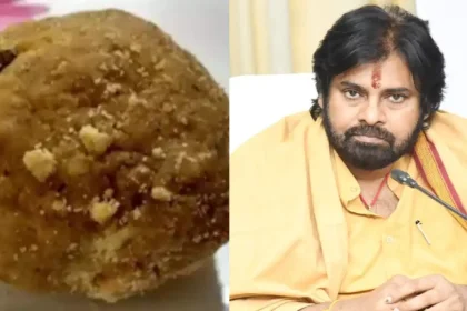 Pawan Kalyan Demands 'sanatana Dharma Raksha Board' In Tirupati Laddu Case