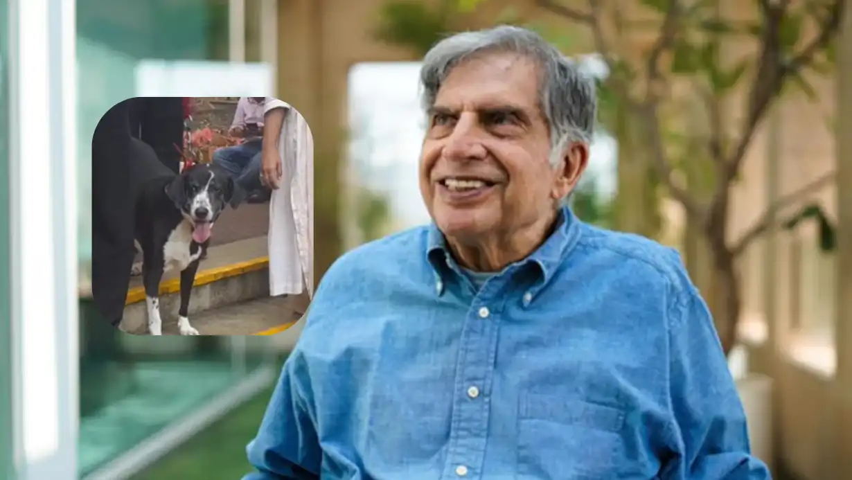 Ratan Tata’s Loyal Dog Refuses Food After His Demise, Heartbreaking Video Surfaces 89 Ratan Tata’s Loyal Dog Refuses Food After His Demise, Heartbreaking Video Surfaces