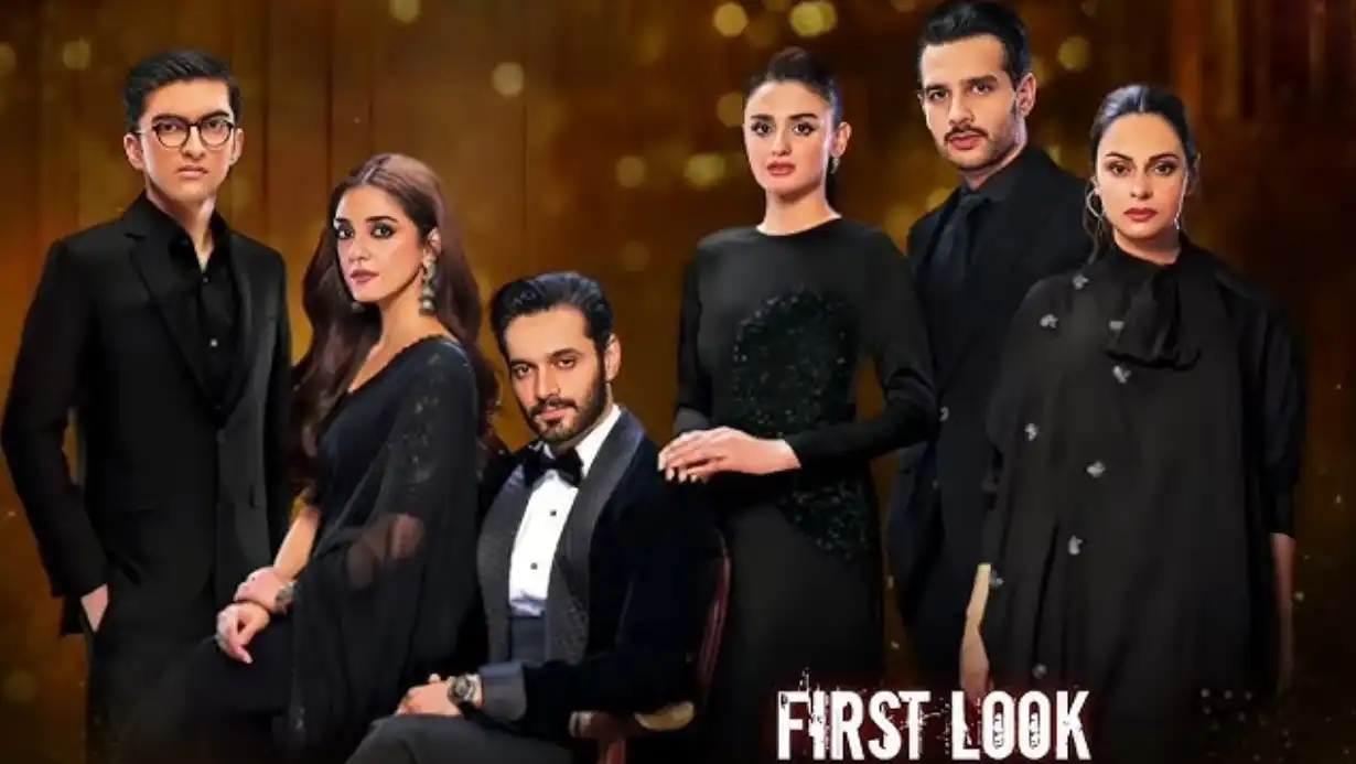 Sunn Mere Dil Drama Timing and Days: Pakistani Show Creating Waves, Wahaj Ali's Stellar Performance Wins Hearts! 85 Sunn Mere Dil Drama Timing And Days