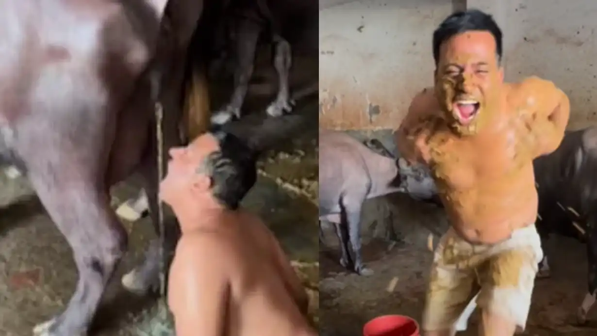 Viral Video: Influencer Puneet Superstar Covers Himself in Buffalo Dung, Shocks Fans Online 87 Viral Video Influencer Puneet Superstar Covers Himself In Buffalo Dung, Shocks Fans Online