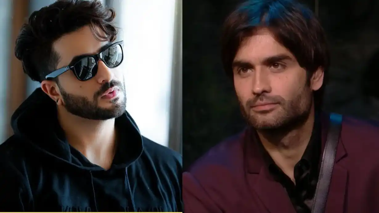 Bigg Boss 18 Winner Vivian Dsena? Aly Goni Claims Victory for Him Amid Conspiracy! 89 Bigg Boss 18 Winner Vivian Dsena Aly Goni Claims Victory For Him