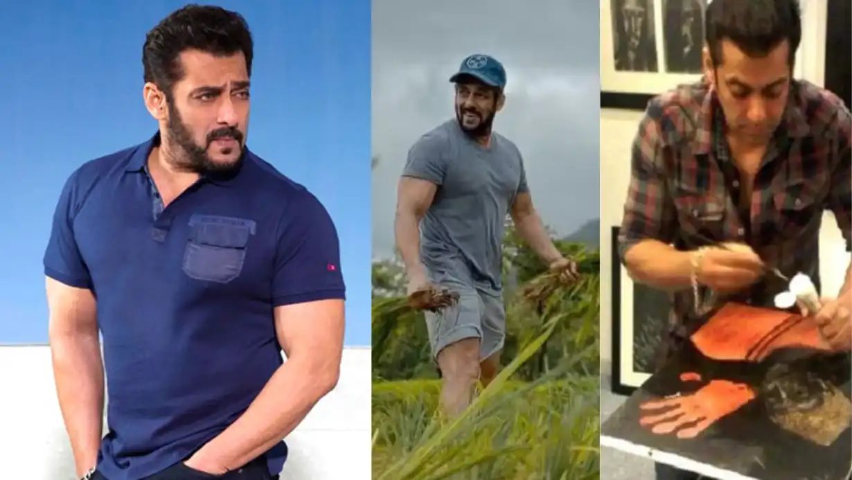 Salman Khan Birthday: The Actor’s Passion for Painting Shines at His Lavish Panvel Farmhouse 87 Salman Khan Birthday