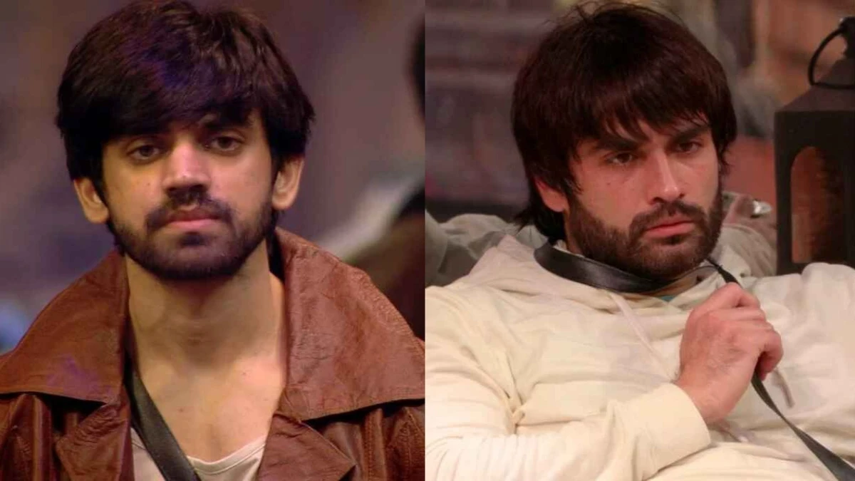 Bigg Boss 18: Vivian Wins Ticket to Finale Amid Guilt and Strained Relationships 89 Avinash Mishra And Vivian Dsena