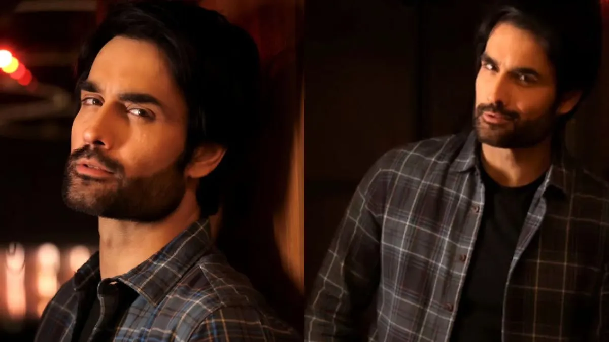 Vivian Dsena Opens Up on 400 Rejections, Bigg Boss 18 Fame & Career Struggles 89 Vivian Dsena