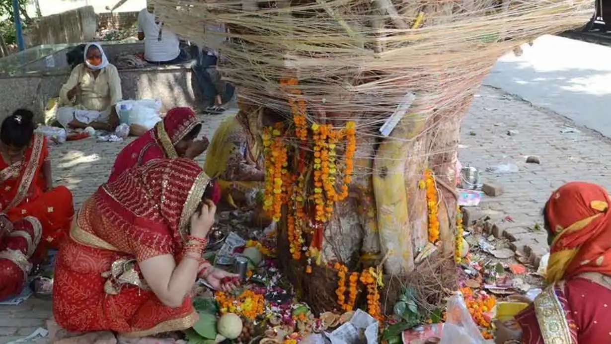 Vat Savitri Vrat 2025: Date, Rituals, and Significance of Somvati Amavasya – The Sacred Festival of Devotion and Eternal Marital Bond 84 Vat Savitri Vrat 2025 Date Puja Vidhi Somvati Amavasya Importance