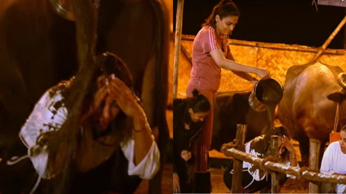Cow Dung Drama! Chhoriyan Chali Gaon's Messiest Nomination Ever 89 Rameet Sandhu Nominates Anjuum Faakih