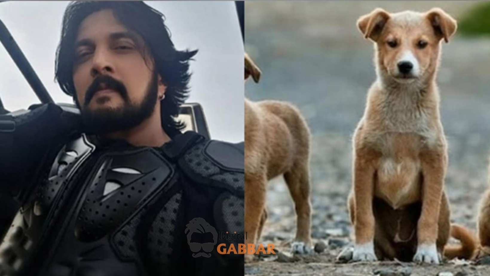 Kichcha Sudeepa Appeals to Adopt Indie Dogs After SC Verdict on Stray Animal Care 72 Kichcha Sudeepa Adopt Indie Dogs Sc Order