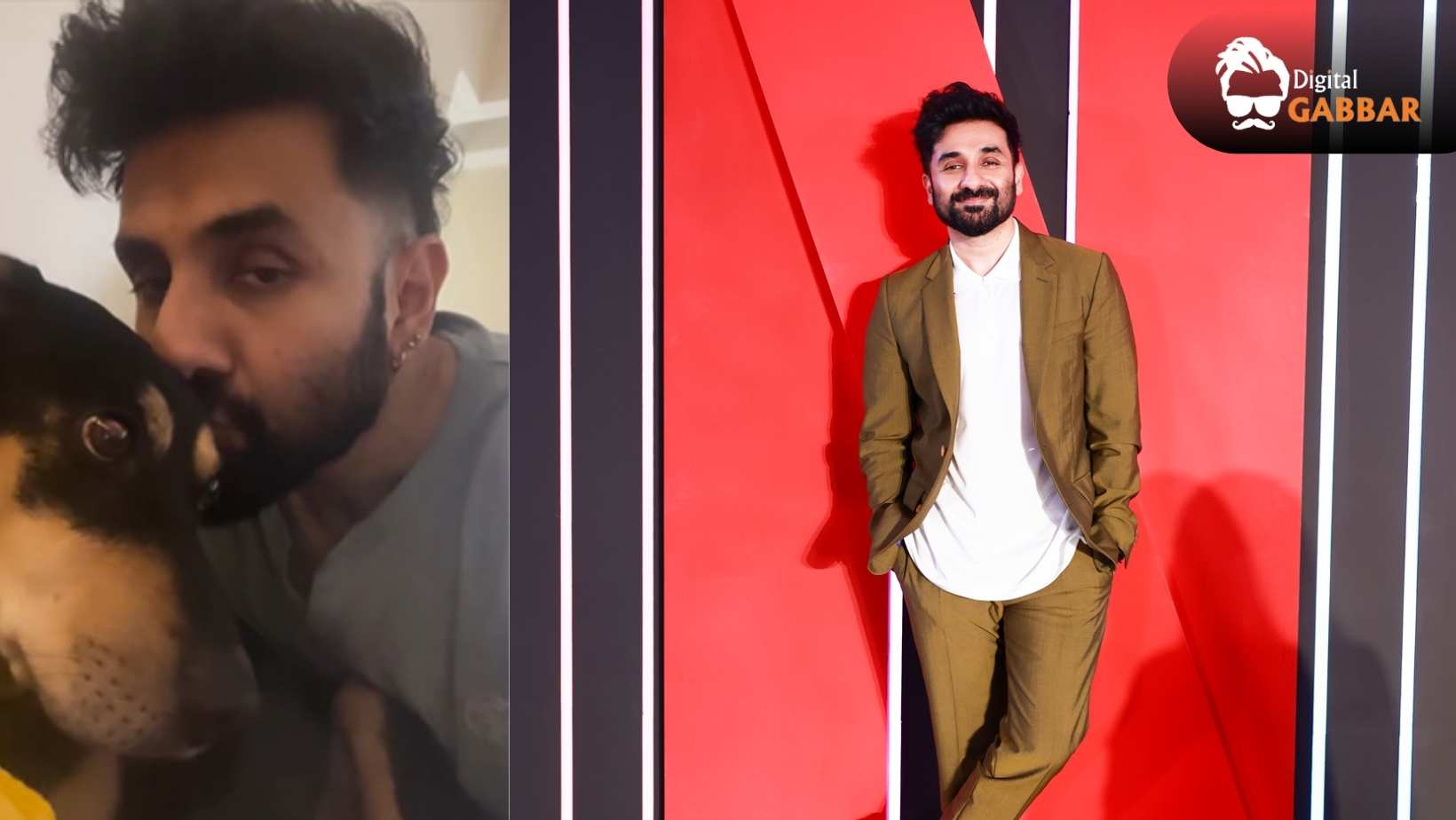 Vir Das Welcomes Supreme Court’s Stray Dog Order: Safe Return, Sterilisation & Care 82 Vir Das Welcomes Supreme Court Stray Dog Order