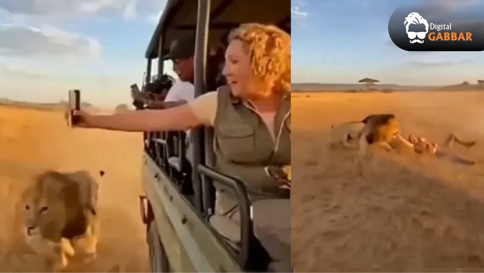 Terrifying Safari Video Goes Viral: Woman Attacked by Lion 103 Ai Generated Lion Attack Safari Video Viral